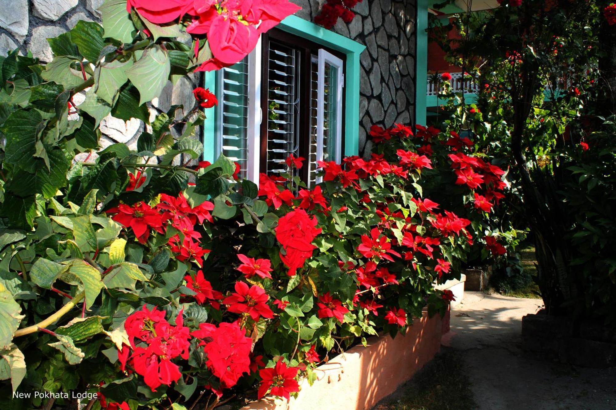 New Pokhara Lodge - Pokhara Lakeside Экстерьер фото